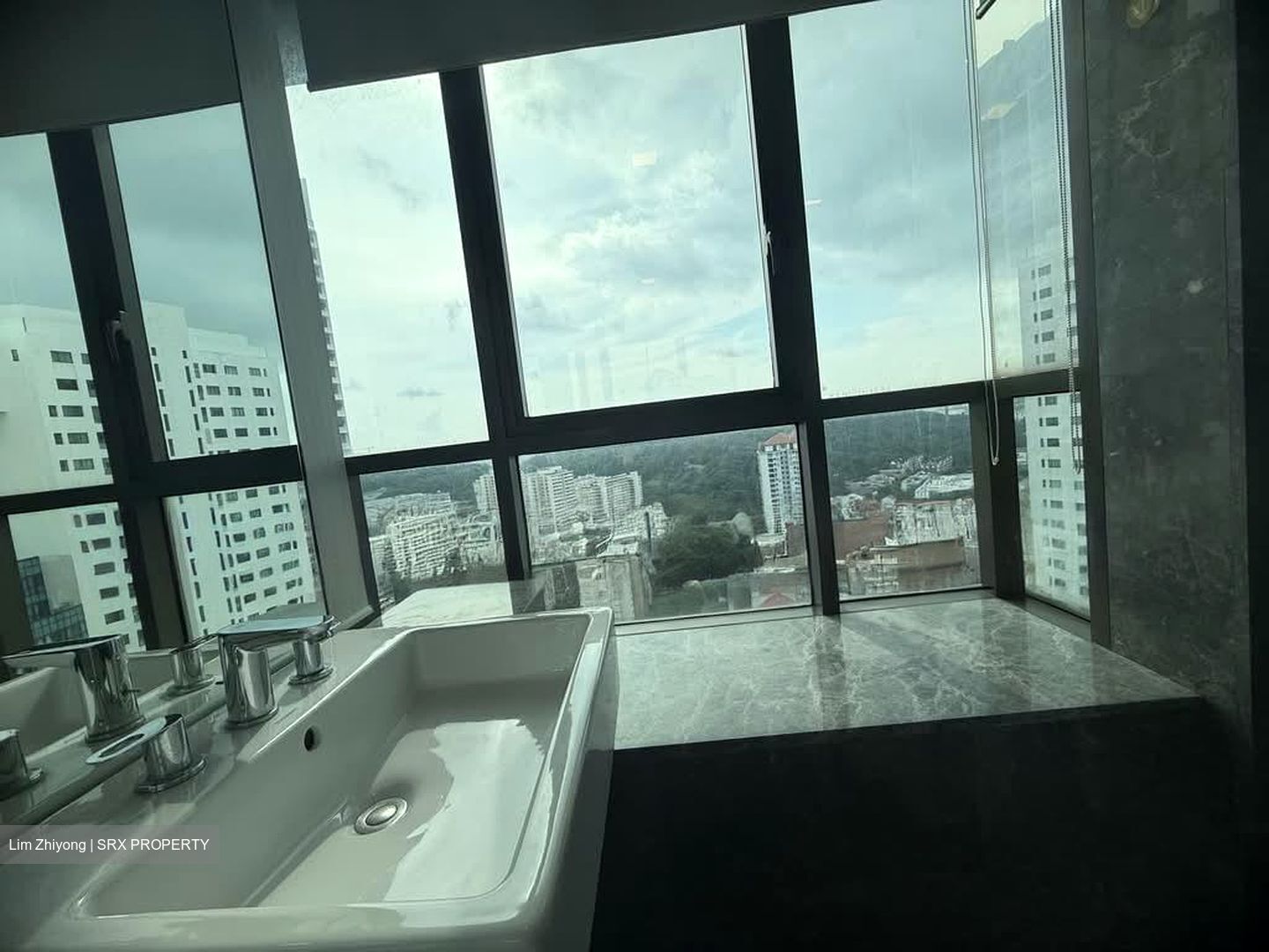 Skyline Residences (D4), Condominium #591891681